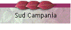 Sud Campania