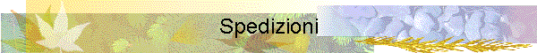 Spedizioni