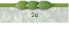 Su
