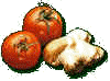 wpe13.jpg (2533 byte)